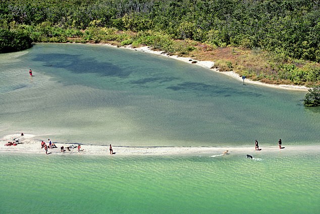 __(d)ݵСDog beach