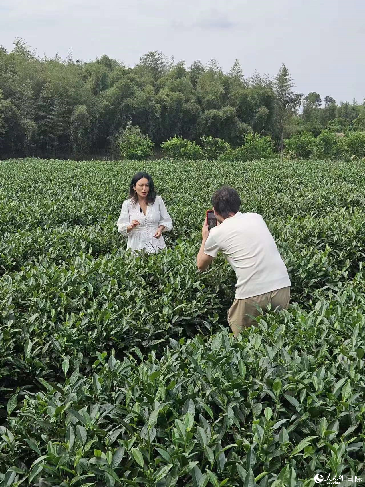 拉美國(guó)家媒體團(tuán)的記者向本國(guó)受眾介紹中國(guó)茶文化。人民網(wǎng)記者 王曉霞攝