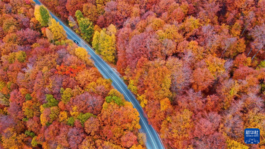 11月3日，汽車在北馬其頓馬夫羅沃國家公園的一條公路上行駛（無人機(jī)拍攝）。新華社發(fā)（托米斯拉夫·格奧爾基耶夫攝）